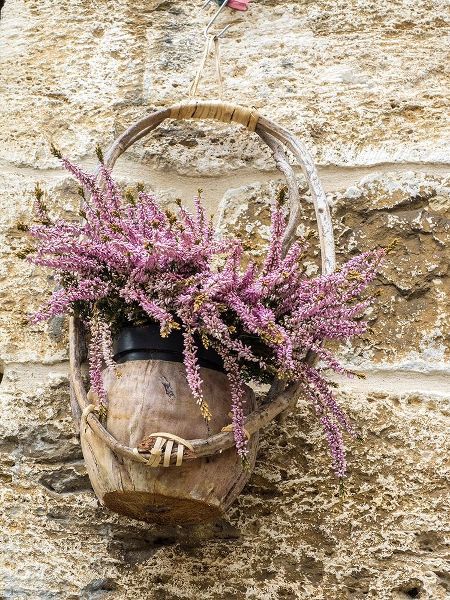 Italy-Chianti Basket of flowers hanging on a stone wall